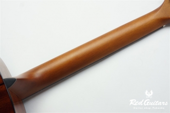 F-351I - Red Brown Sunburst
